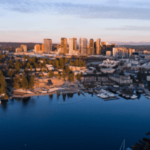 Digital marketing services in Bellevue, Washington
