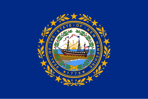New Hampshire state flag